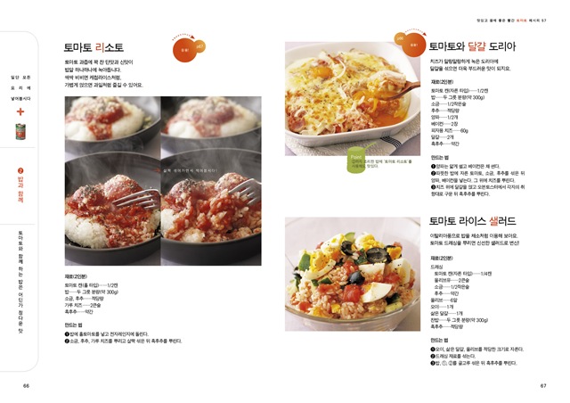 토마토본문6667 토마토본문6667
