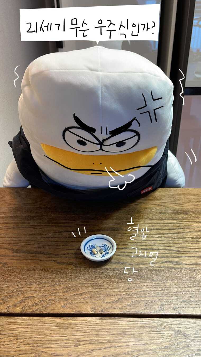 포토툰 - 오리주둥이 다이어트