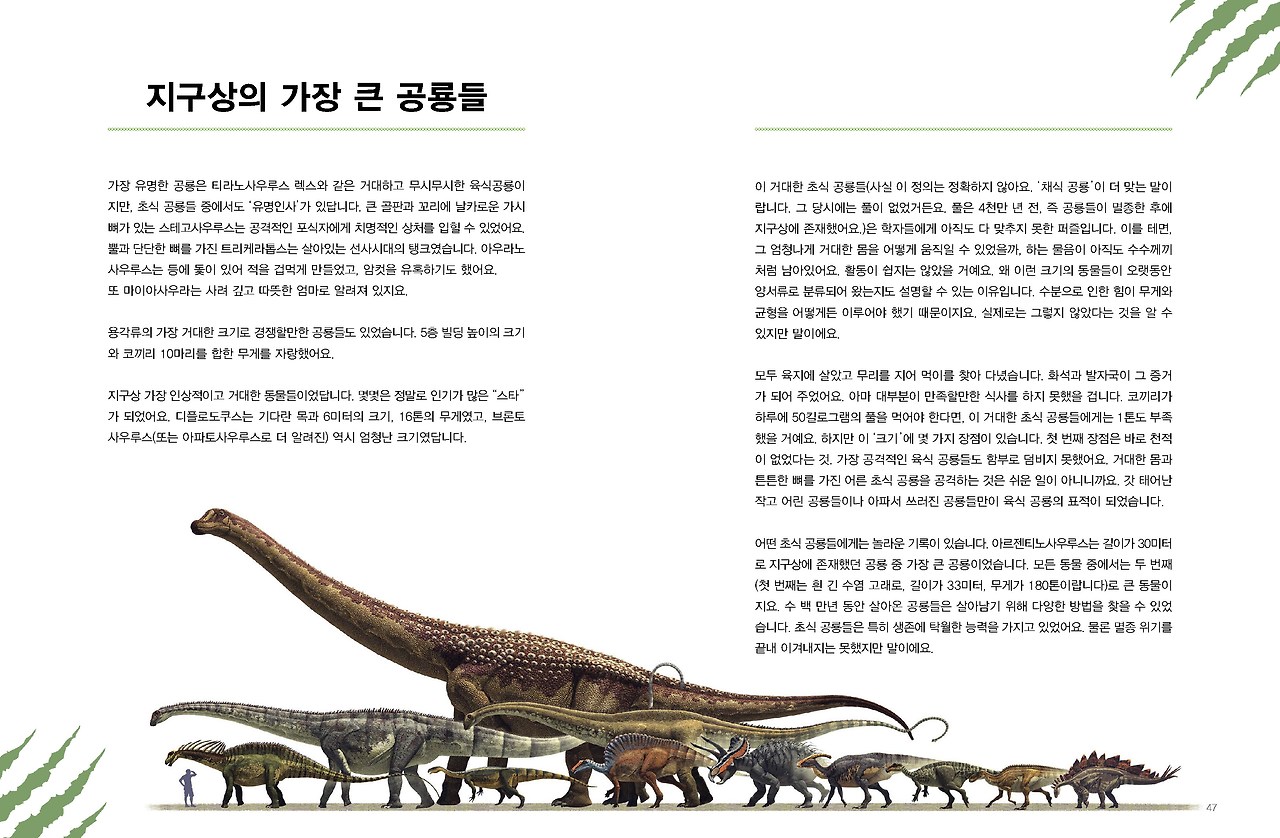 공룡대백과_본문_07.jpg