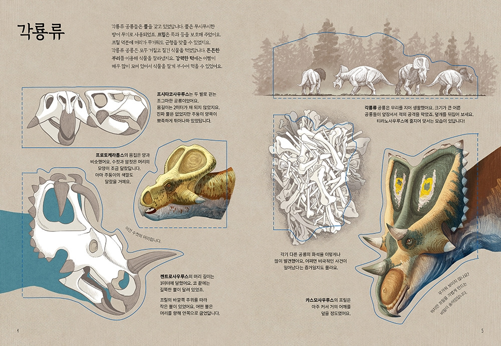 숨겨진 공룡_본문 10-11.jpg
