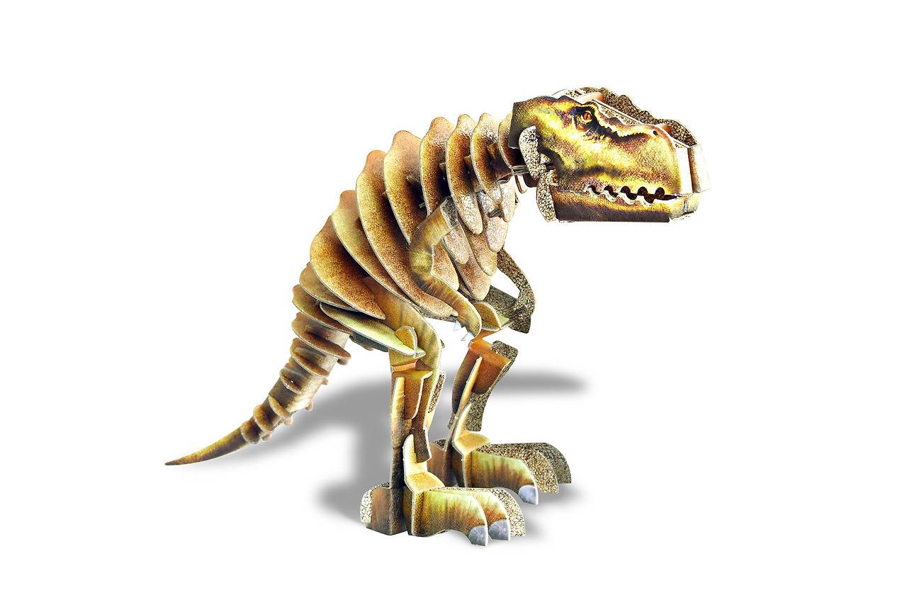 박스공룡 실사 사진.jpg