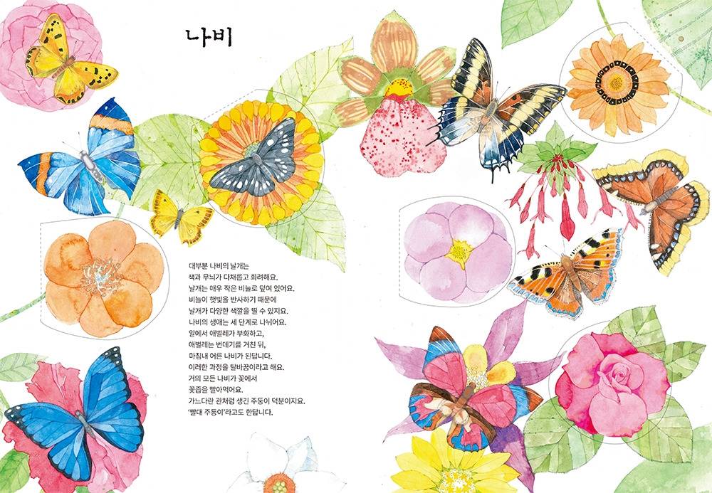 숨겨진 곤충_본문 22-23.jpg