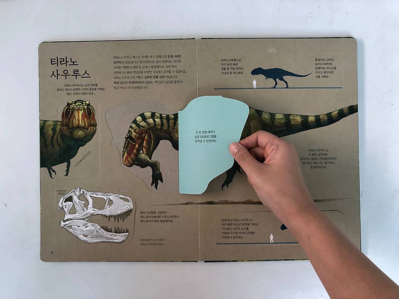 공룡책2.jpeg