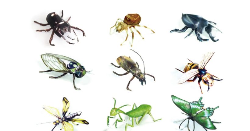 곤충공작백과-표지