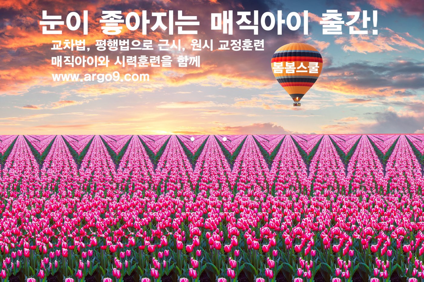 눈이 좋아지는 매직아이Q 출간준비