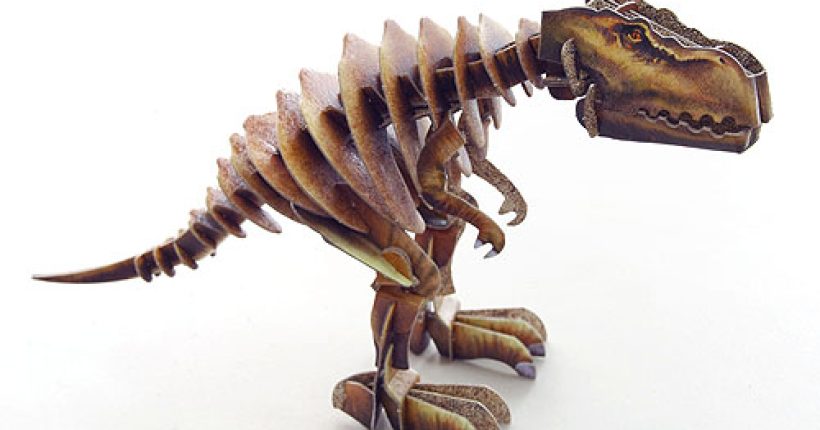 박스공룡 사진