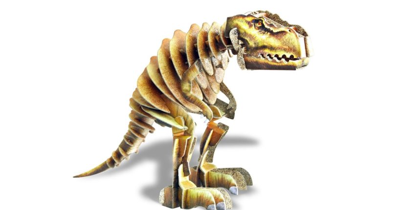 박스공룡 실사 사진